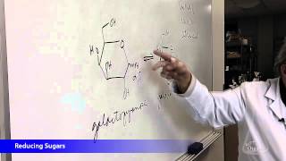 Reducing Sugars with Dr Mark Niemczyk Professor of Organic Chemistry [upl. by Anaed741]