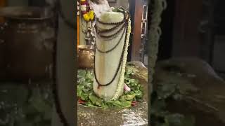 Bheemeshwara temple samalkotpositibevibes shortsvideo [upl. by Chernow826]