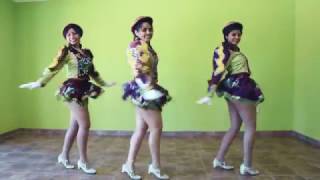 Mix de Sayas  Coreografia [upl. by Retsub]