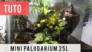 Tuto Mini Paludarium 25L [upl. by Brazee]