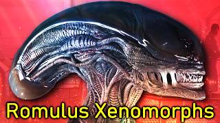 Romulus Xenomorph amp Scorched Alien Explained [upl. by Sudaorb553]