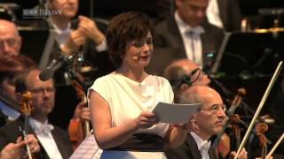 Katharina Stemberger liest Text von Maja Haderlap  Fest der Freude 2015 [upl. by Nesyaj]