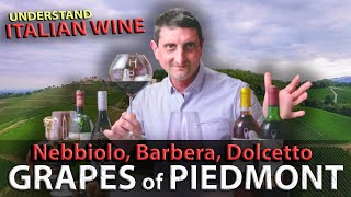 Piedmonts Wine TRILOGY Nebbiolo Barbera Dolcetto  Italian Wine 101 [upl. by Analihp]