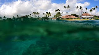 Snorkeling Kiahuna Beach Kauai Hawaii [upl. by Sharos]