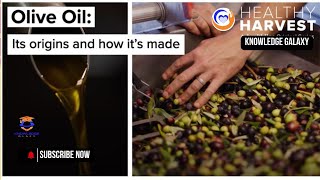 Healthy Harvest Olive Oil Liquid Gold from Nature 🌿✨ [upl. by Arturo]