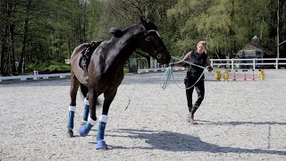 Pferd gerade richten  natürliche Schiefe beheben  Korrigierendes longieren  Bodenarbeit Tutorial [upl. by Flor]