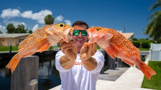 BEST Way to fillet Blackbelly Rosefish [upl. by Ahsiena]