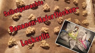 Selbstgemachte BananenHaferflockenLeckerlis  Homemade Leckerlis  Hundekanal [upl. by Enej871]