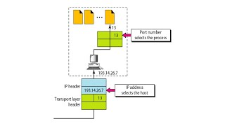 Transport Layer  Port Numbers [upl. by Map]