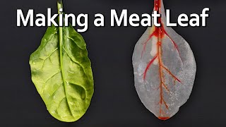 A Leaf Made of Meat [upl. by Ariadne318]