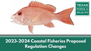 Public Hearing  Proposed Statewide Saltwater Fishing Regulation Changes 20232024 [upl. by Pasadis829]