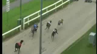 IGB  Nolans Londis Garage Tralee Round 1 Heat 3 29062019 Race 4  Tralee [upl. by Yaned]