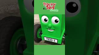 Where Do Eggs Come From 🥚  Tractor Ted Shorts  Tractor Ted Official eggday [upl. by Arratal]