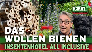 Nisthilfe für Wildbienen bauen und Fehler vermeiden  Horst sein Schrebergarten [upl. by Pravit388]