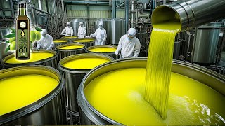 How Olive Oil Is Made in Factory  Olive Oil Making Process  Captain Discovery [upl. by Bijan]