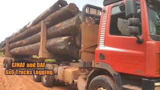 GINAF 380 And DAF 85 CF Truck Trailer Nederland Loading Wood [upl. by Intyre]