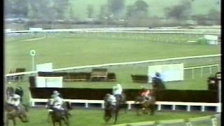 1981 Arkle Challenge Trophy Chase [upl. by Aitnuahs281]