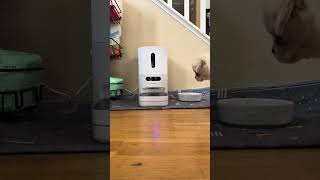 How To Record A Voice Message On The Smart Pet Feeder [upl. by Ariahs522]