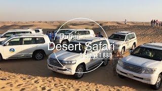 Desert Safari with BBQ Dinner  Dubai UAE  Traveller Passport [upl. by Carper136]