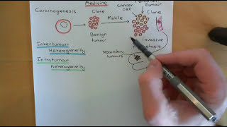 Personalized Cancer Medicine Part 1 [upl. by Neeruam]