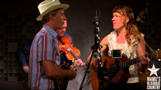 Foghorn Stringband  Im Longing For Home Live at WAMUs Bluegrass Country [upl. by Elawalo94]