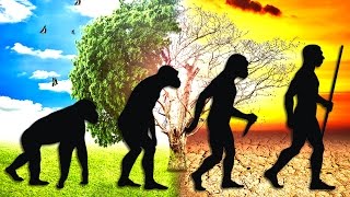 How Humans Evolved to Dominate Earth [upl. by Falkner]