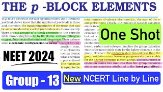 PBlockGroup13 NCERT Line by Line ✅  NCERT Highlights neet2025 ncert pblock neet class11 [upl. by Aldin318]