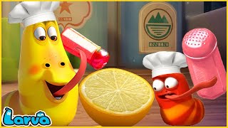 LARVA SEASON 2 EPISODE Chef  COMICS  MINI SERIES FROM ANIMATION [upl. by Esinereb]