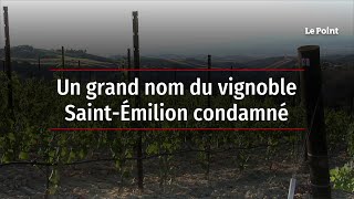 Un grand nom du vignoble SaintÉmilion condamné [upl. by Hester]