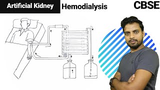 How to draw Artificial Kidney HAEMODIAYSIS [upl. by Noiraa]