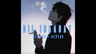 Dil Ibadat kar raha hai Slowed  Reverb song Lofi best song [upl. by Dragon23]