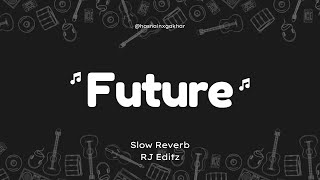 FUTURE  R Nait  Slowed  Reverb  RJ Editz [upl. by Myrwyn]