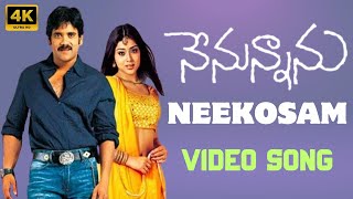 Neekosam 4K Full Video Song  Nenunnanu Movie  Nagarjuna  Shreya  Aarthi Agarwal  M M Keeravani [upl. by Hanover]