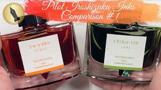 Pilot Iroshizuku Inks Comparison 1 [upl. by Dlonyar]