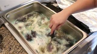 Dyepot Weekly 73  Dyeing Yarn with Americolor Shades of Gray Food Coloring [upl. by Neelya]