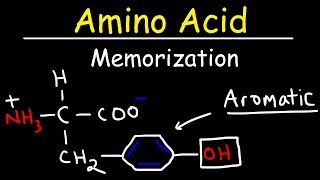 Memorize The 20 Amino Acids  The Easy Way [upl. by Kcirrej699]