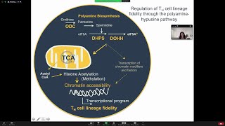 Polyamine metabolism in the regulation of T cell lineage fidelity and function by Dr Erika Pearce [upl. by Nahtiek]