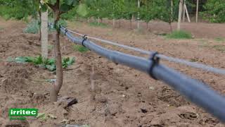 Irritec Drip Irrigation Solutions 2 [upl. by Dressler]