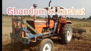 Tractor in Field with heavy 11 cultivator Wheat Crop rabi Cultivation Gandum Ki Kasht In Pakistan [upl. by Yenffad]