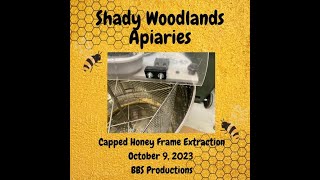 Honey Harvest Extraction from Layens Frames October 9 2023 [upl. by Yelkreb]