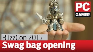 Whats inside the BlizzCon 2015 swag bag [upl. by Htnicayh453]