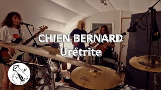 Chien Bernard  Urétrite Live Session La Caverne [upl. by Cordle]