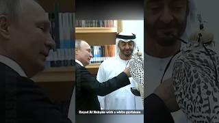 President Putin in UAE russia uae putin sheikhzayed usa mbs shorts ytshorts russmika24 [upl. by Enitsua]