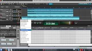 Basic Mixing amp Mastering in Mixcraft tutorial [upl. by Nonnek]