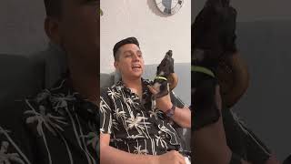 Taquito canta ❤️ perros cantante gracioso viral [upl. by Halla]