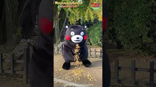 【KUMAMON WORLD】What are you doing with Kumamon in Kumamoto castle [upl. by Yale691]