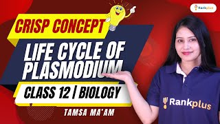 CBSE Class 12 Biology  Life Cycle of Plasmodium  Biology by Tamsa Mam  Rankplus [upl. by Etep]