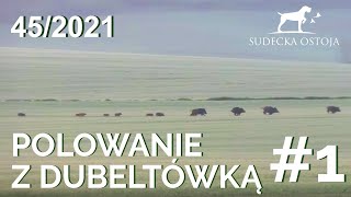 SUDECKA OSTOJA 452021 Polowanie na dziki z dubeltówka cz1 Wild boar shotgun hunting [upl. by Dalli225]