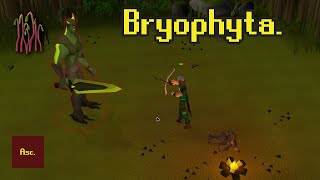 Slaying Bryophyta  F2P HCIM 11 [upl. by Wallis497]