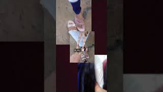 friendship viralvideo love youtubeshorts oxyofficial india bangladesh indonesia [upl. by Dominica597]